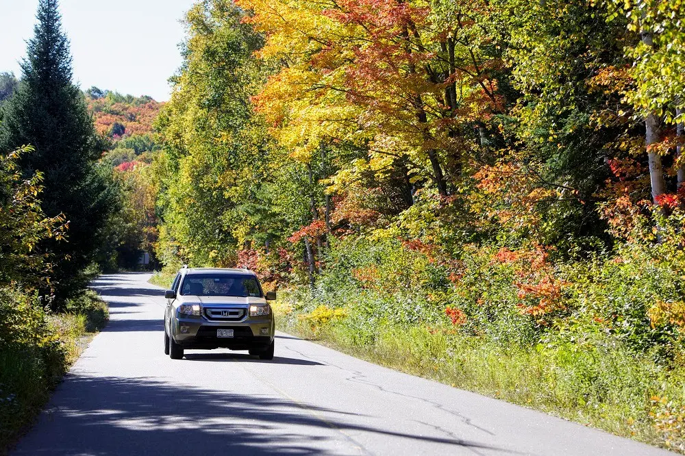 Fall_Colours_in_Ontario_Algonquin_provincial_park