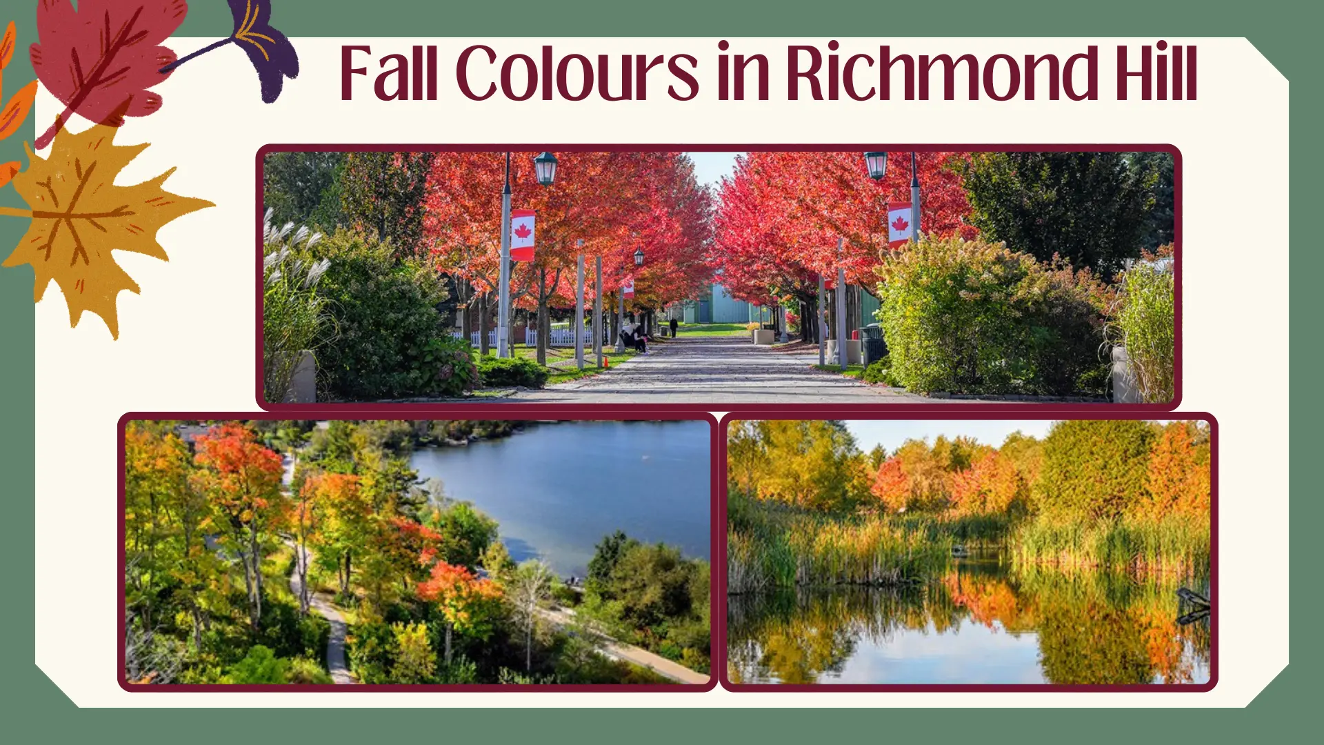 Fall_Colours_in_Ontario_Richmond_Hill
