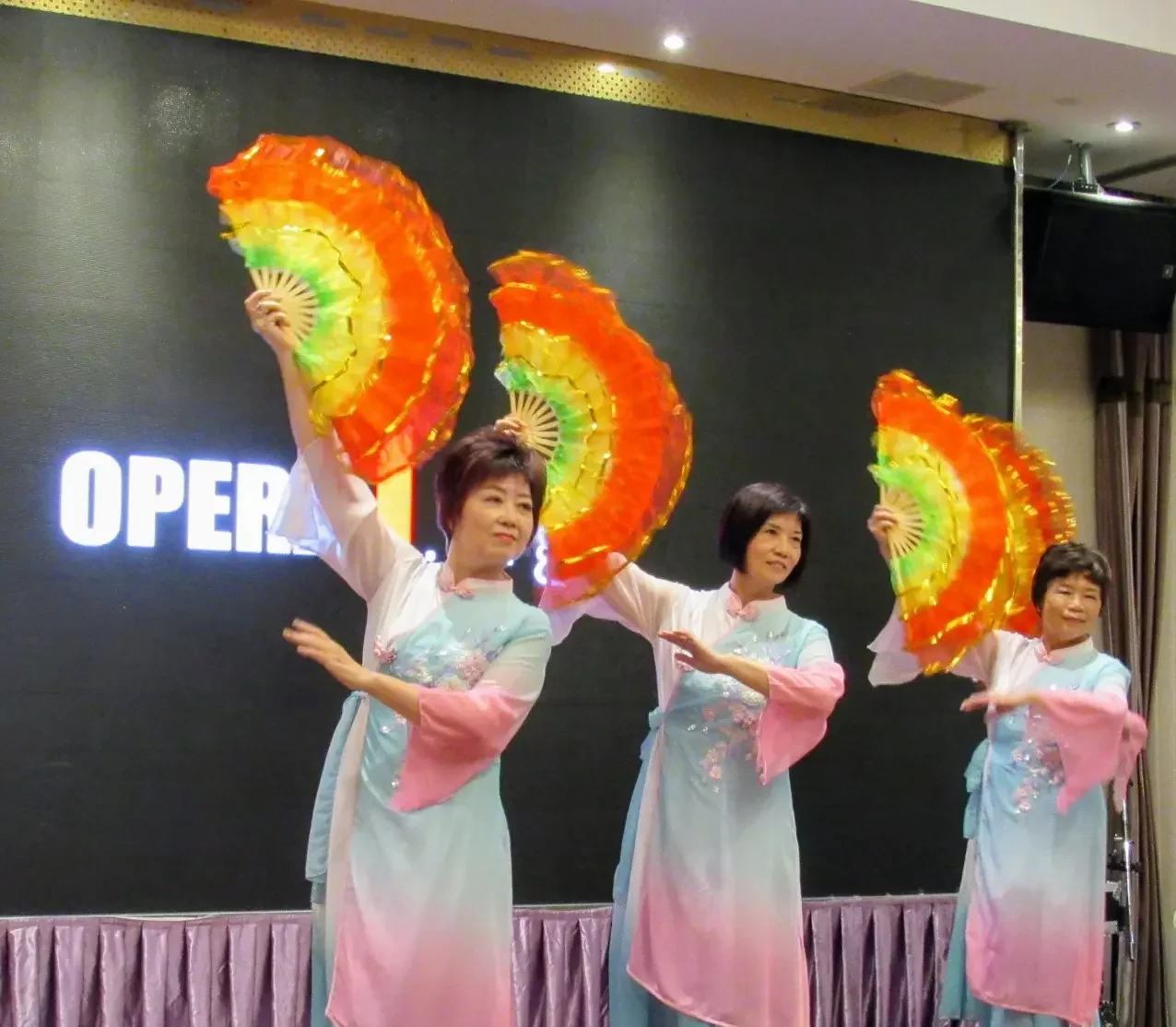 Julia_Wong_&_Friends_and_The_Opera_One_Association_charity_gala_performance_Chinese_dancing