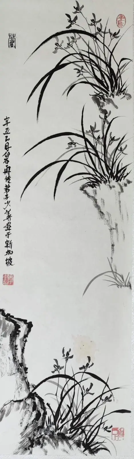 Li-Chimese-painting-Orchid