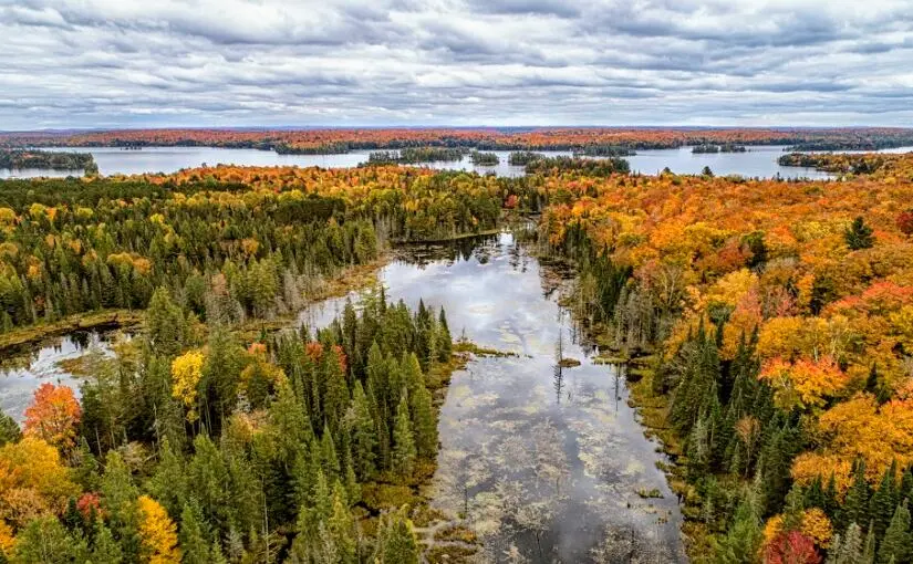 Fall_Colours_in_Ontario_Miklisew_provincial_park