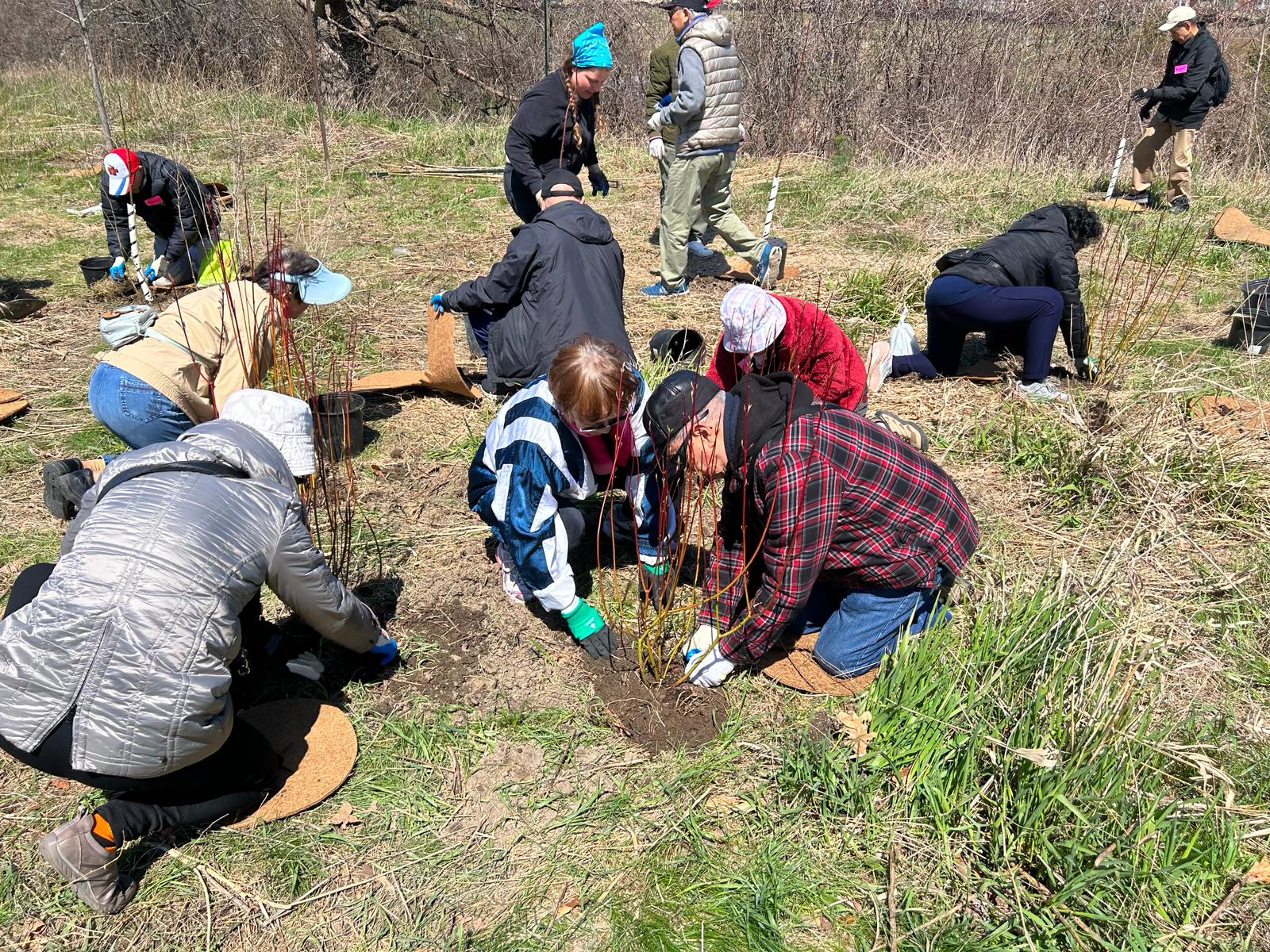 senior tree planting