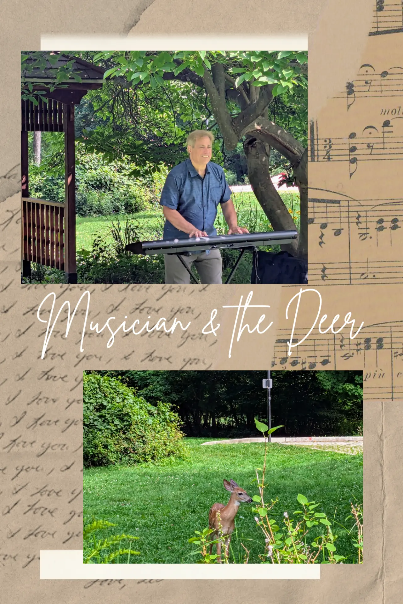 Scarboroug_Discovery_Drive_Cedar_Ridge_musician_and_the_deer