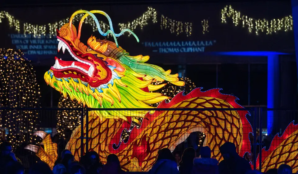 Greater_Toronto_2024_lighting_and_parade_events_Toronto_light_displays_Twin_dragons