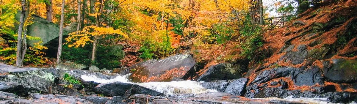 Fall_Colours_in_Ontario_Arrowhead_provincial_park