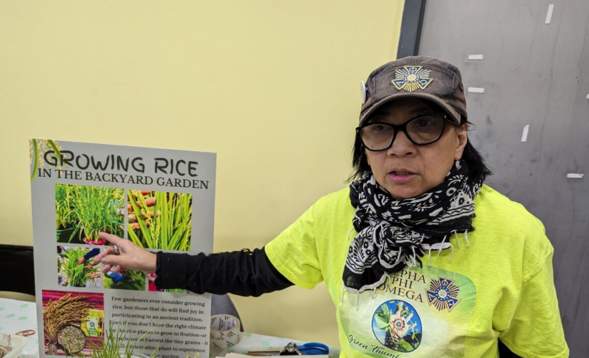 Jewel Gomes demonstrated rice planting