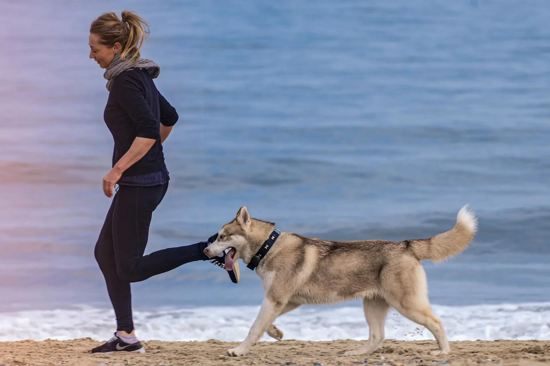 National_Dog_Day_2024_female_and_dog_running