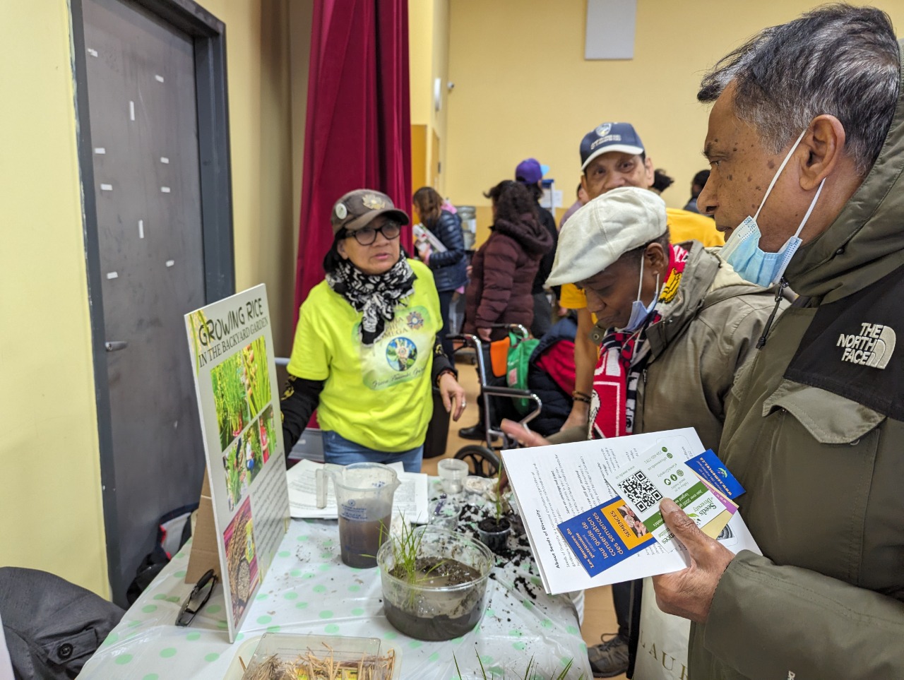 people get information about rice planting