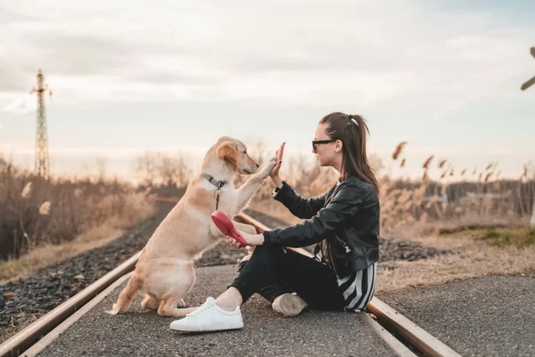 National_Dog_Day_2024_female_and_dog_sit_on_the_railway_track