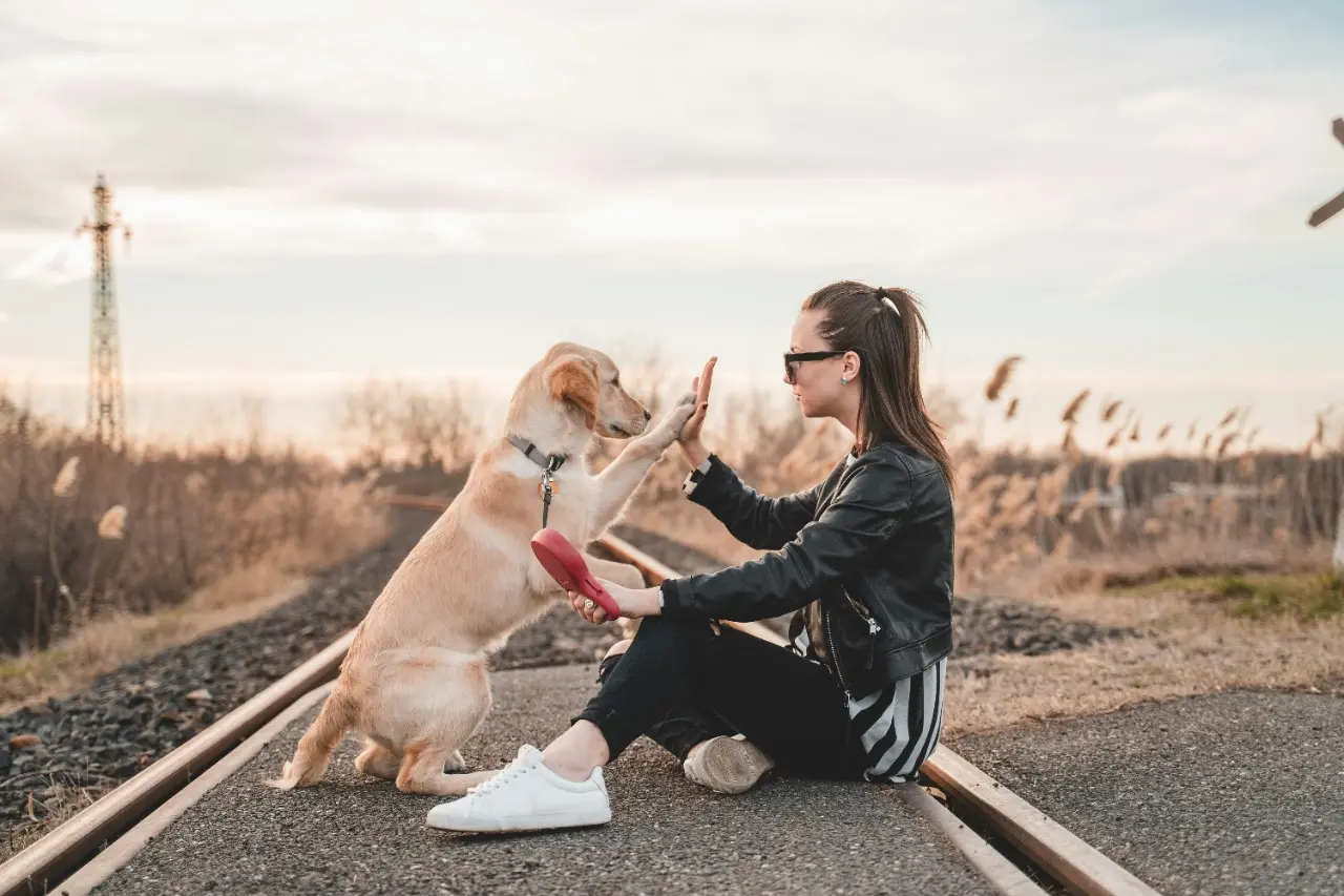 National_Dog_Day_2024_female_and_dog_sit_on_the_track